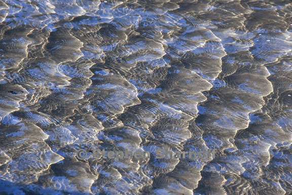 shallow ripples 1 graphic